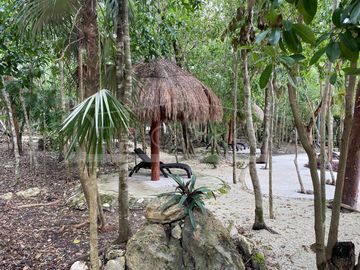 place photo 41