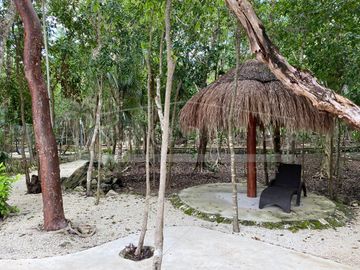 place photo 45