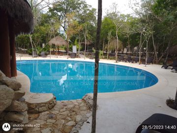 place photo 47
