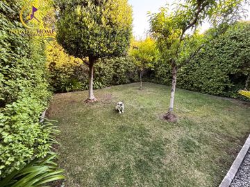 place photo 26