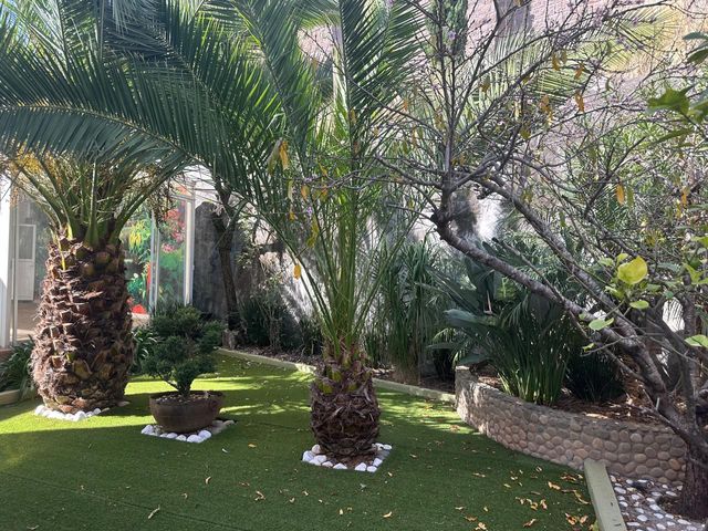 place photo 29