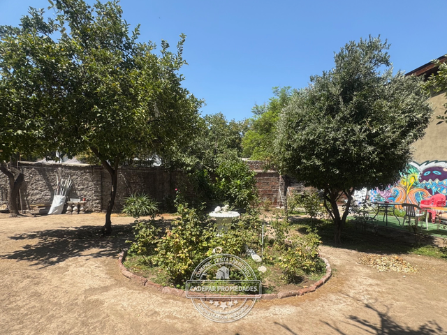 place photo 25