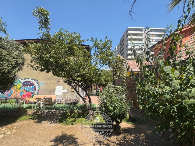 place photo 21