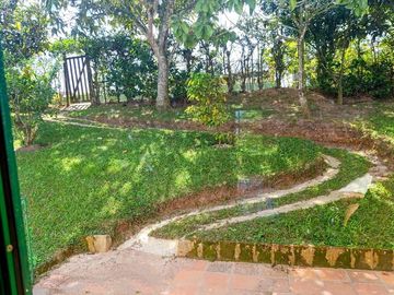 place photo 33