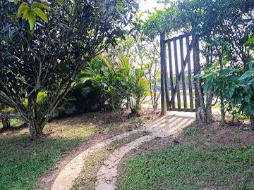 place photo 37