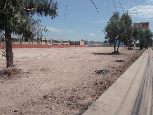 place photo 12