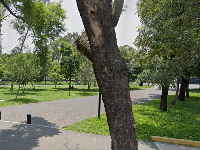 place photo 15