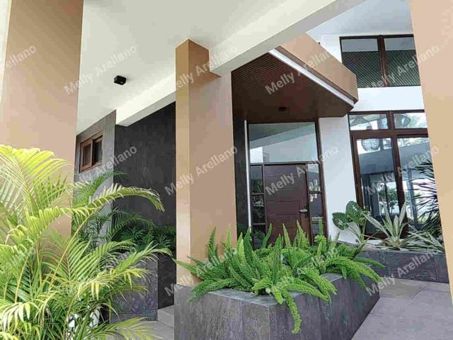 place photo 87