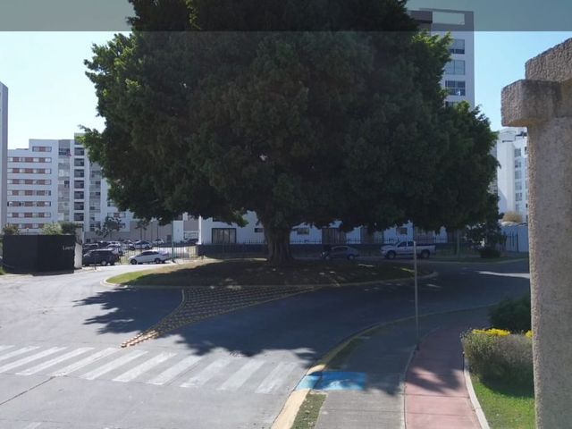 place photo 20