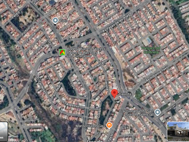 place photo 10