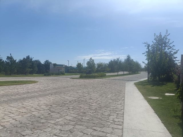 place photo 29