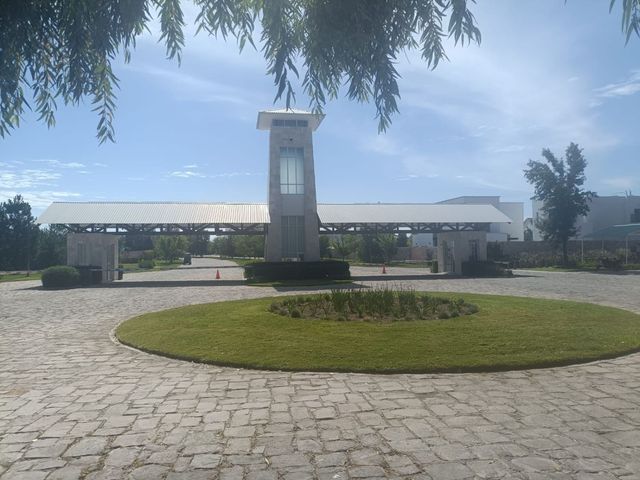 place photo 31