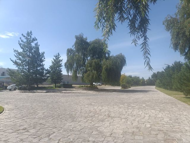 place photo 32