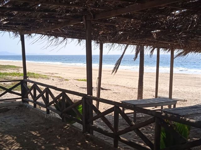place photo 22