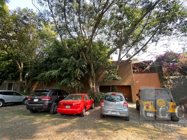 place photo 17