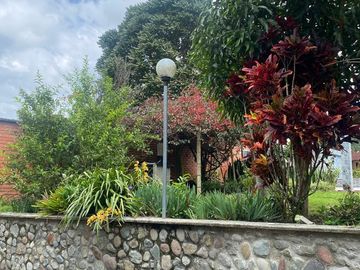 place photo 29