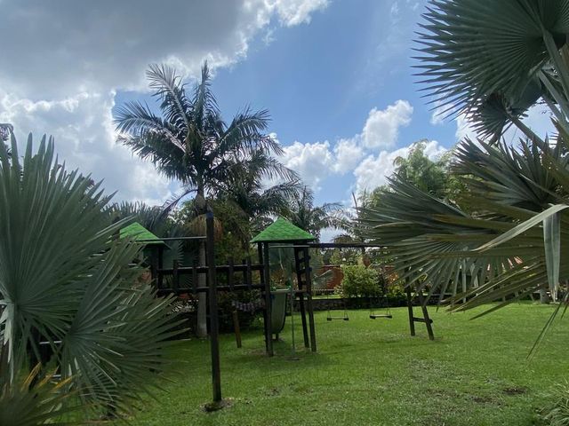 place photo 64