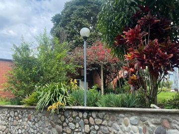 place photo 86