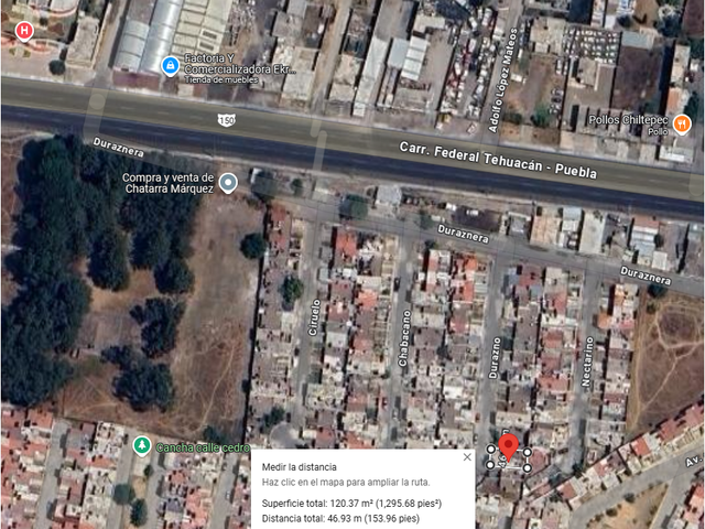 place photo 7
