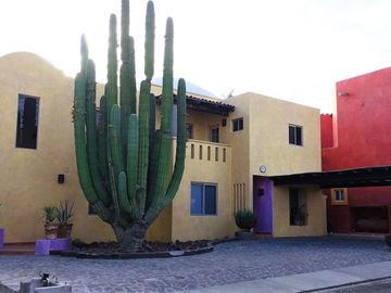 place photo 7