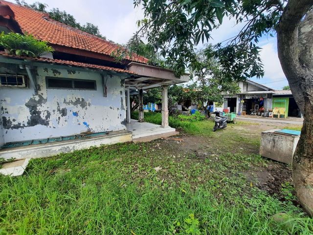 place photo 4