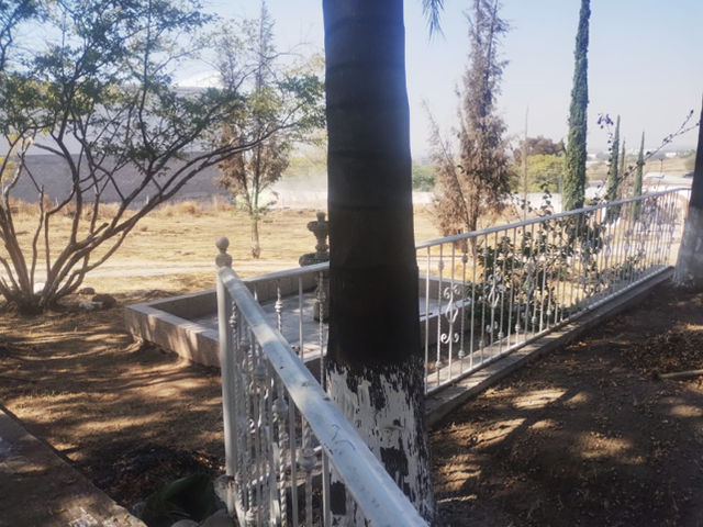 place photo 14