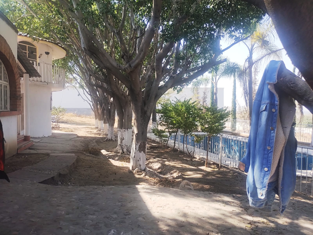place photo 19