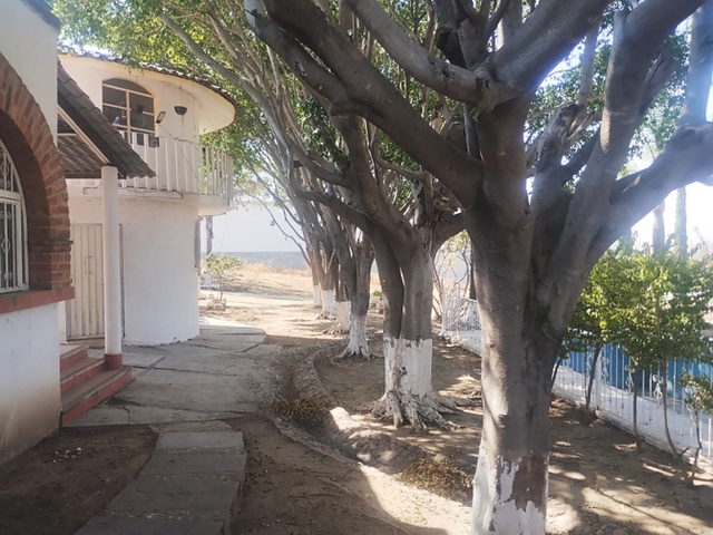 place photo 21