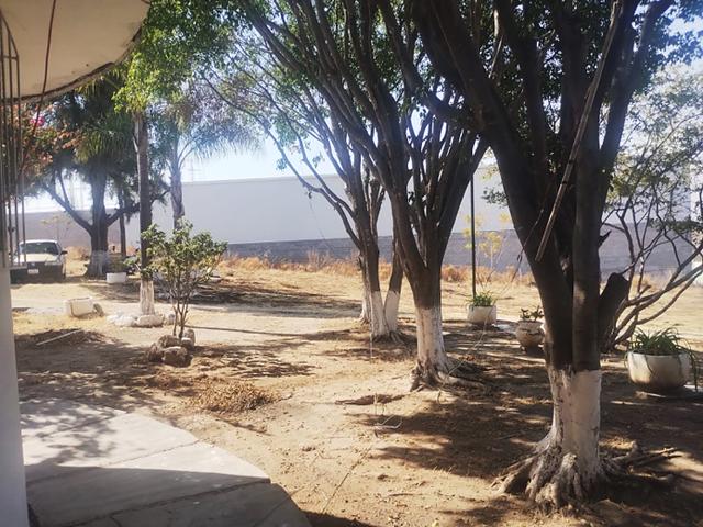place photo 22