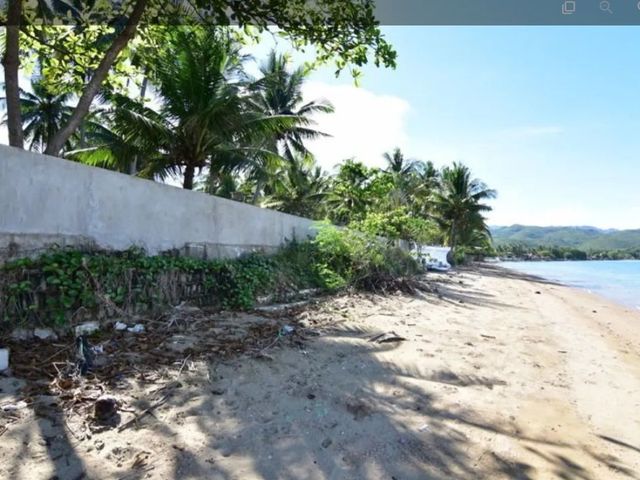 place photo 41