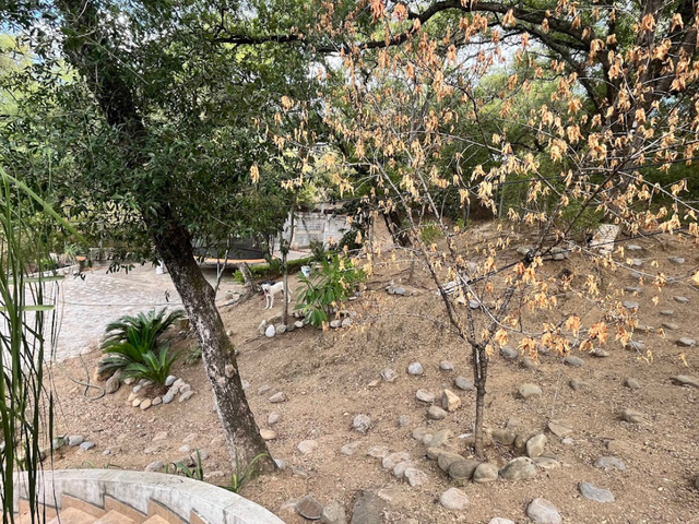 place photo 35