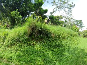 place photo 31