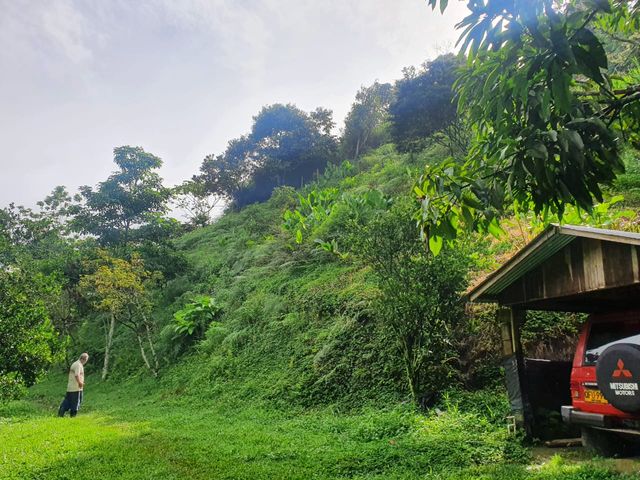 place photo 33