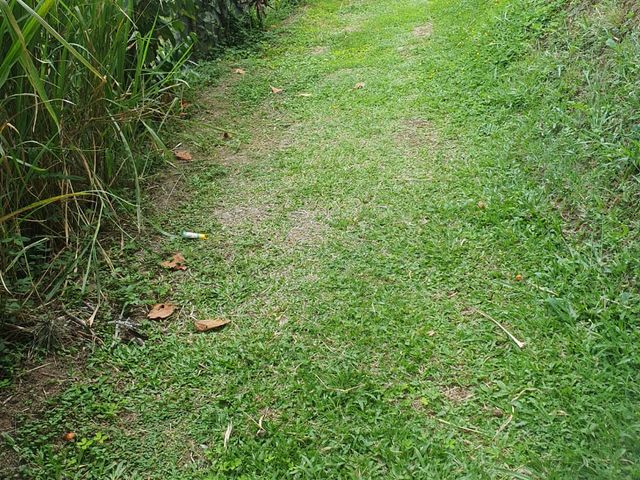 place photo 35