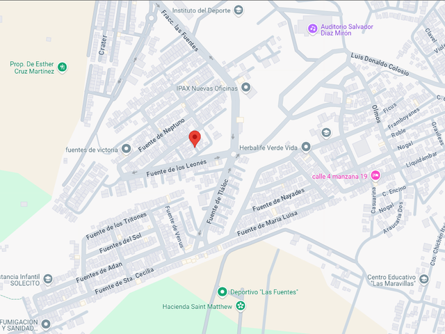 place photo 5