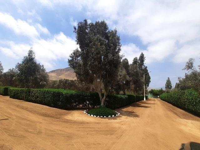 place photo 22