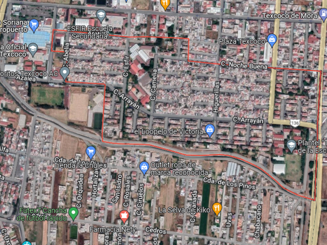 place photo 11