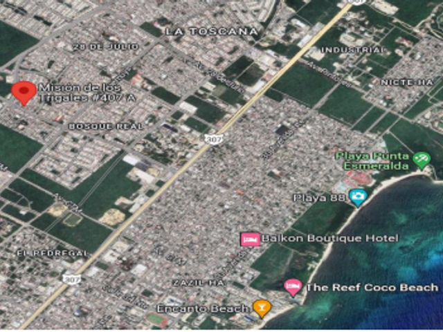 place photo 12