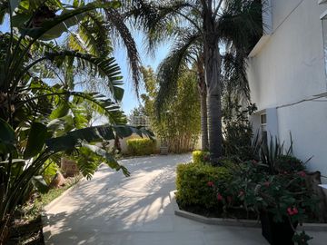 place photo 24