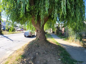 place photo 21