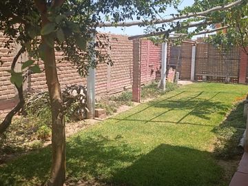 place photo 38
