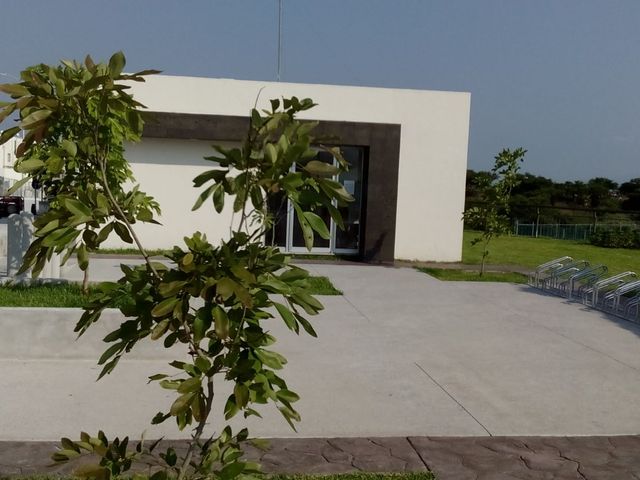 place photo 36