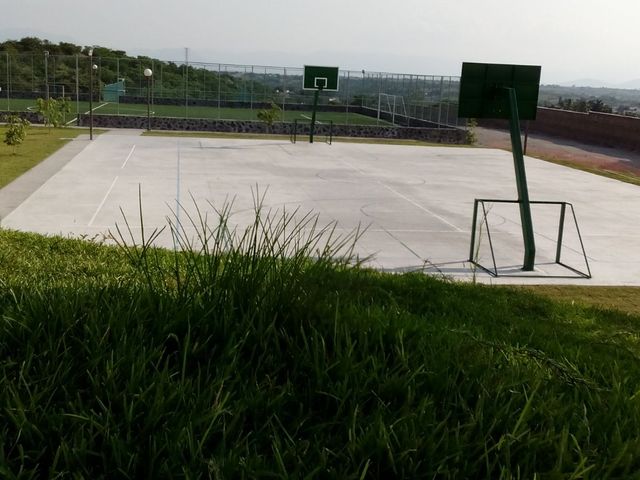 place photo 38