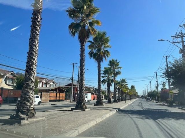 place photo 43