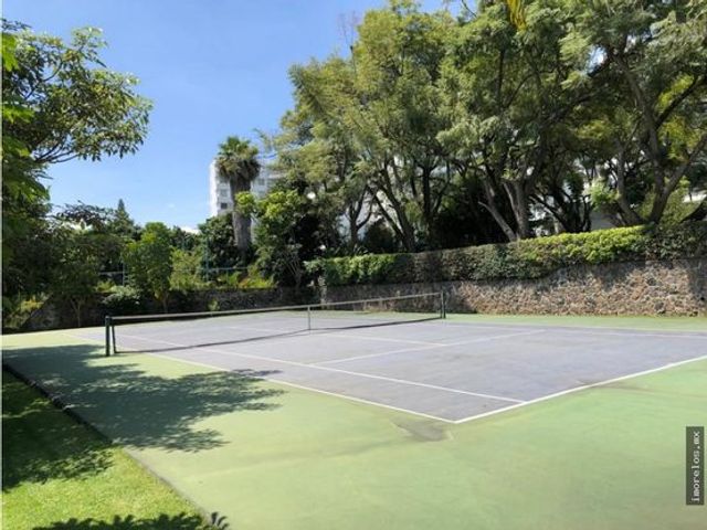 place photo 29