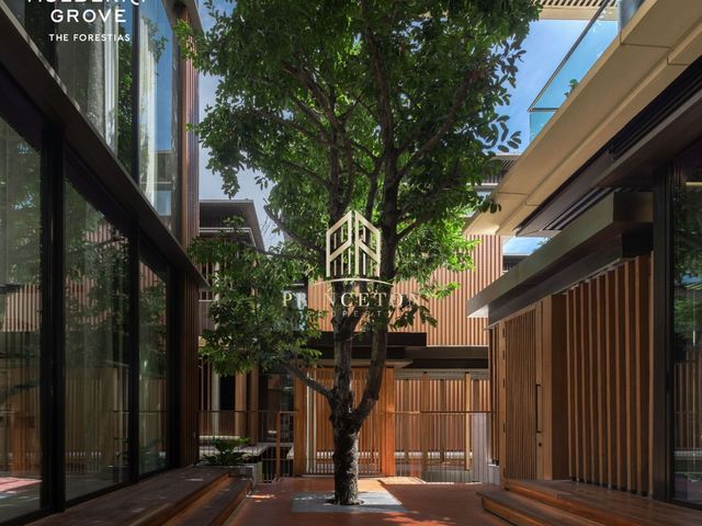 place photo 26