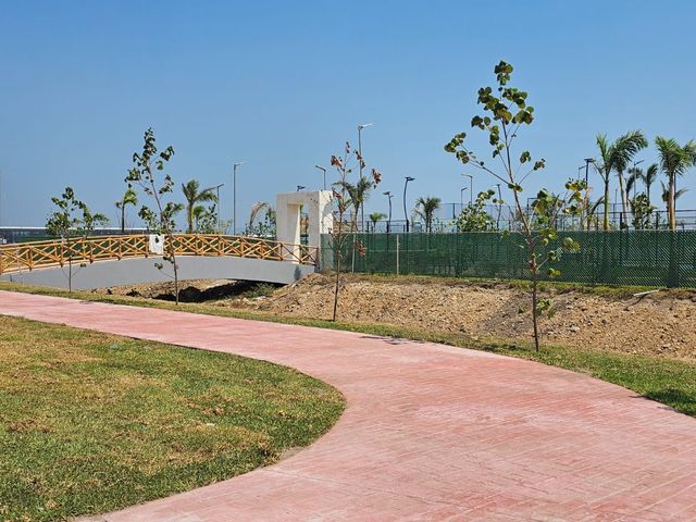 place photo 28