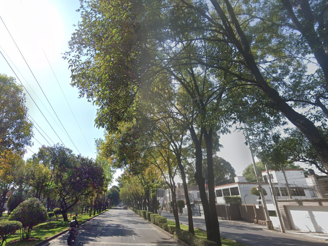 place photo 18