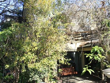 place photo 34