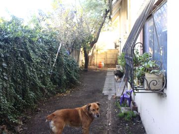 place photo 36